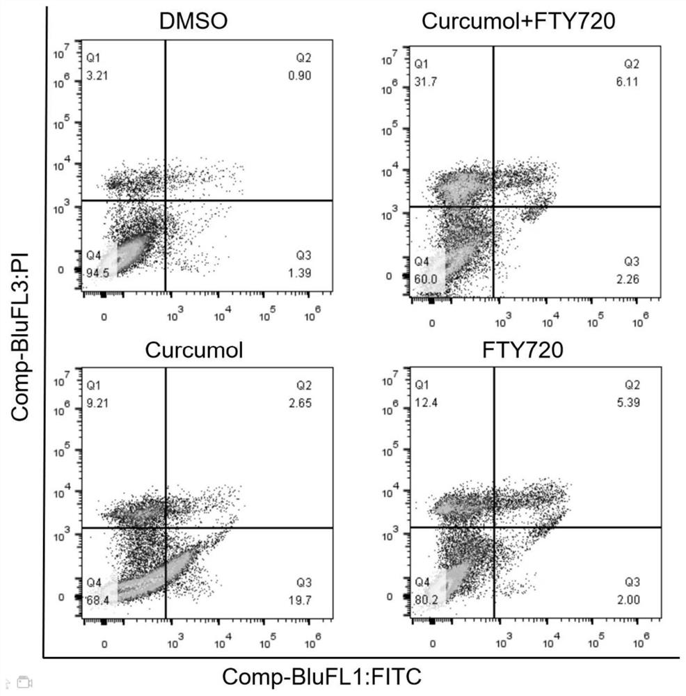 Application of the pharmaceutical composition of fingolimod hydrochloride and curcumol in the preparation of anti-multiple myeloma drugs