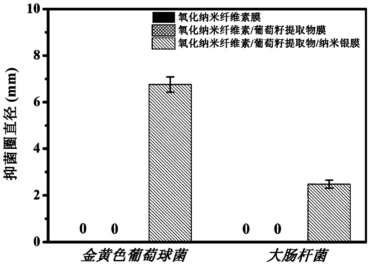 Antimicrobial and antioxidant oxidized nanocellulose composite film immobilizing nano silver/grape seed extract and preparation method and application thereof