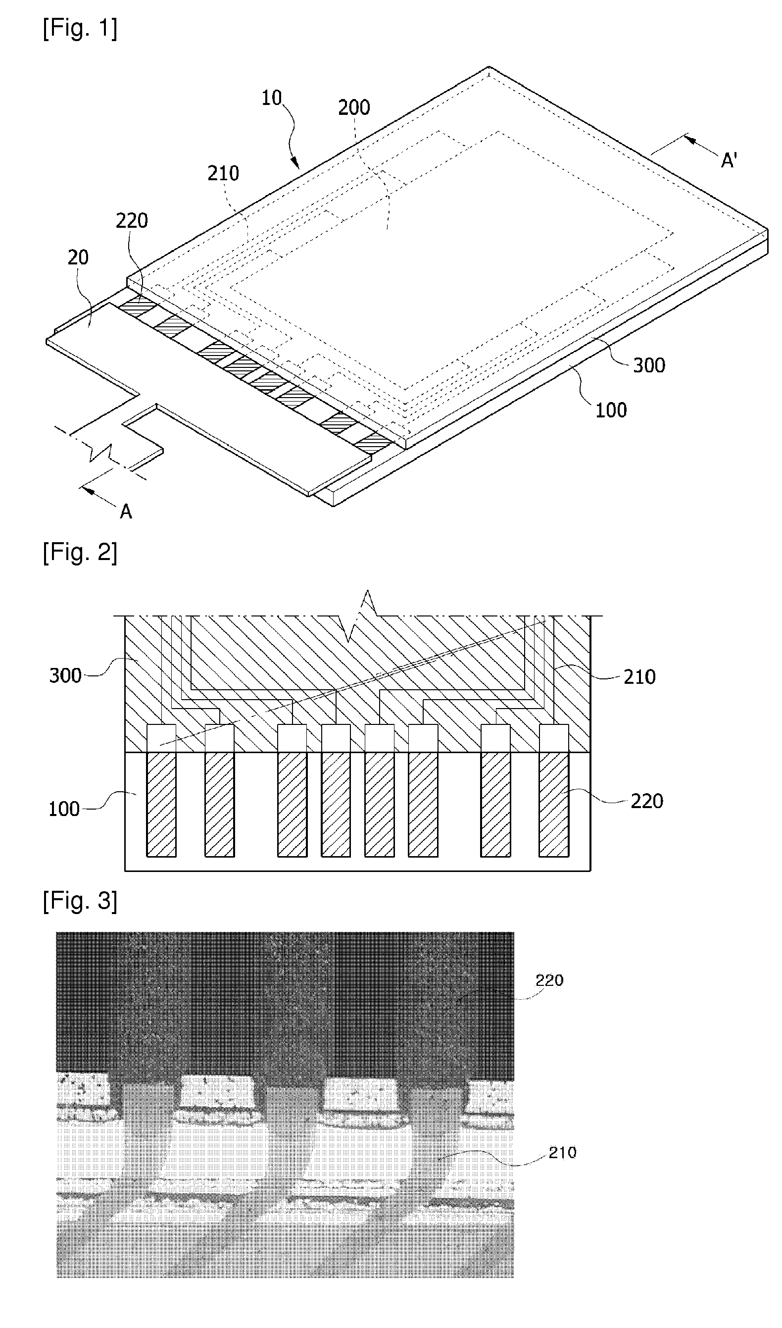 Touch screen panel and touch screen assembly including the same