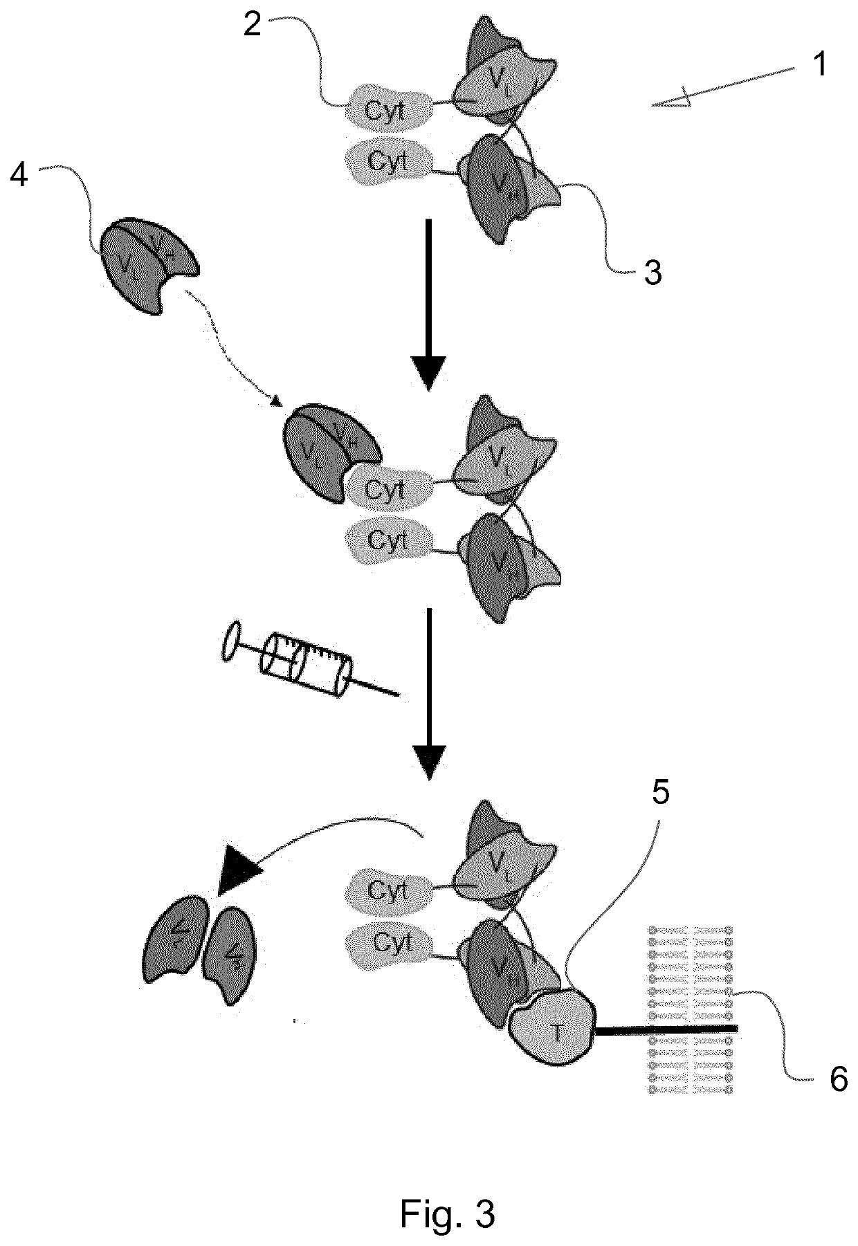 Immunocytokines with progressive activation mechanism