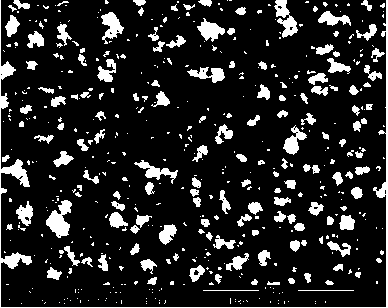 Electrocatalytic oxidation electrode for sewage treatment and preparation method thereof