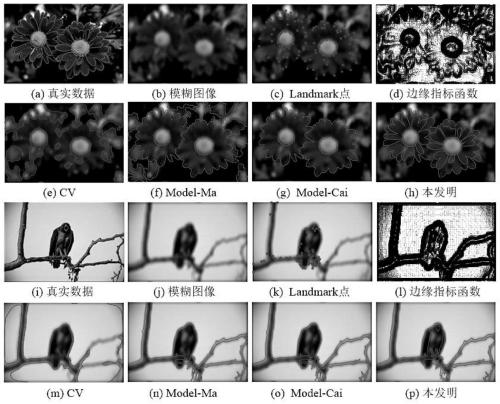 Variational level set image segmentation method based on Landmark simplex constraint