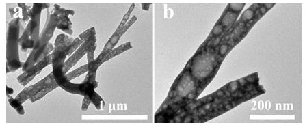 Zinc vanadate electro-catalytic material as well as preparation method and application thereof