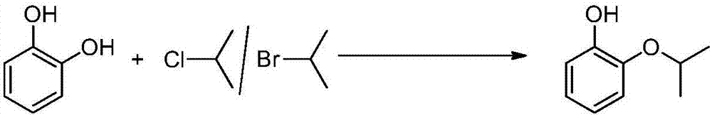 Preparation method of pyrocatechol monoisopropyl ether