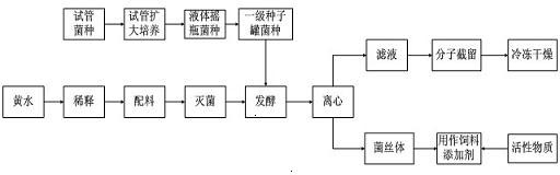 Process for biodegrading yellow water of white spirit factory