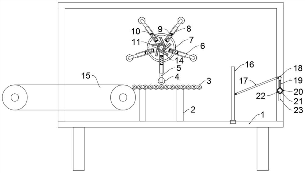 Feeding equipment used in zizania latifolia stalk cutting machine