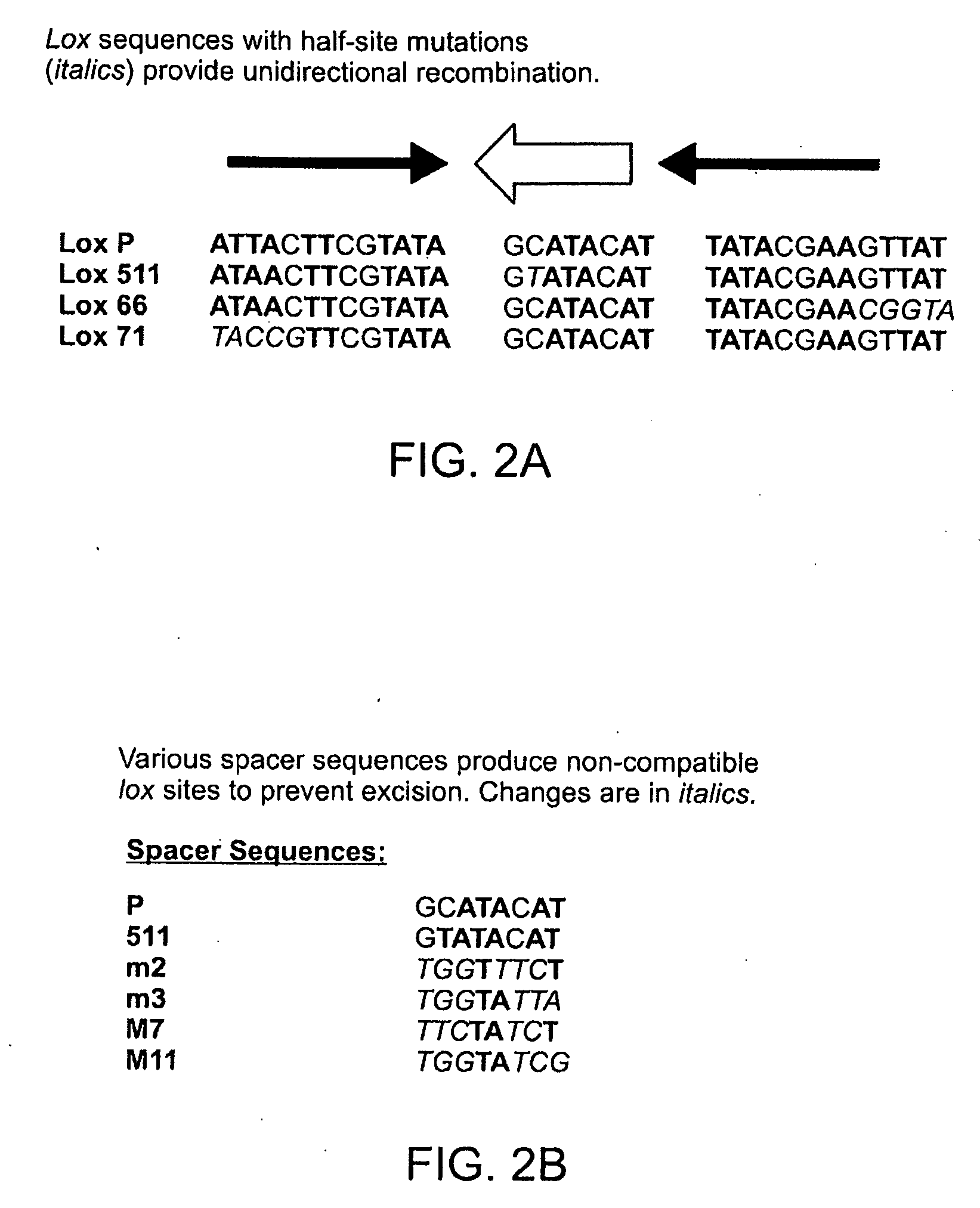 Compositions and methods for generating and screening adenoviral libraries