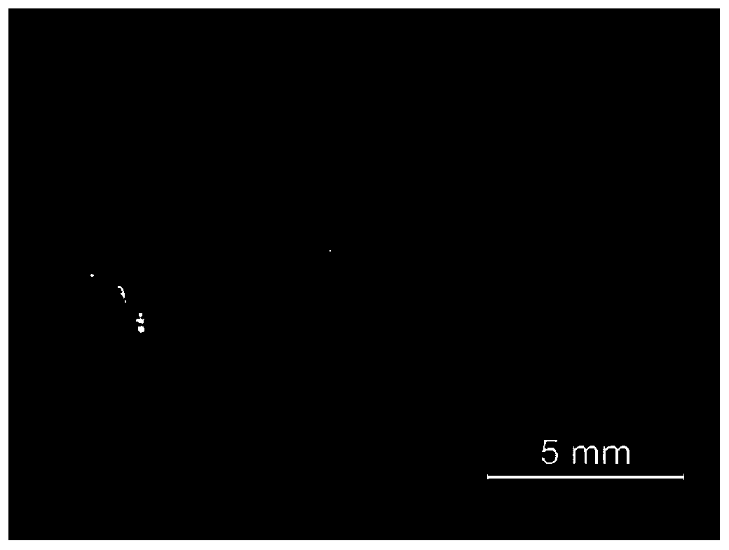 Preparation method and application of lead-free A4MnBi2X12 perovskite material