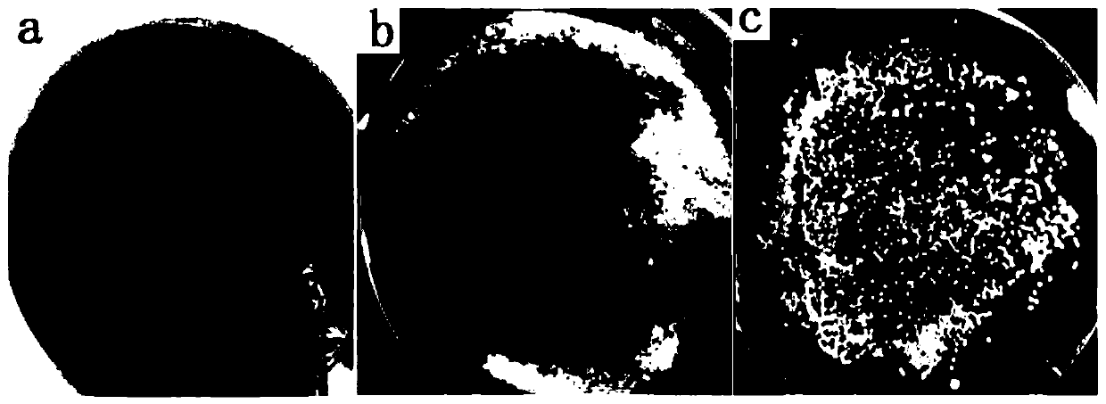 Method for reducing content of fusidic acid by-product by biotransformation method