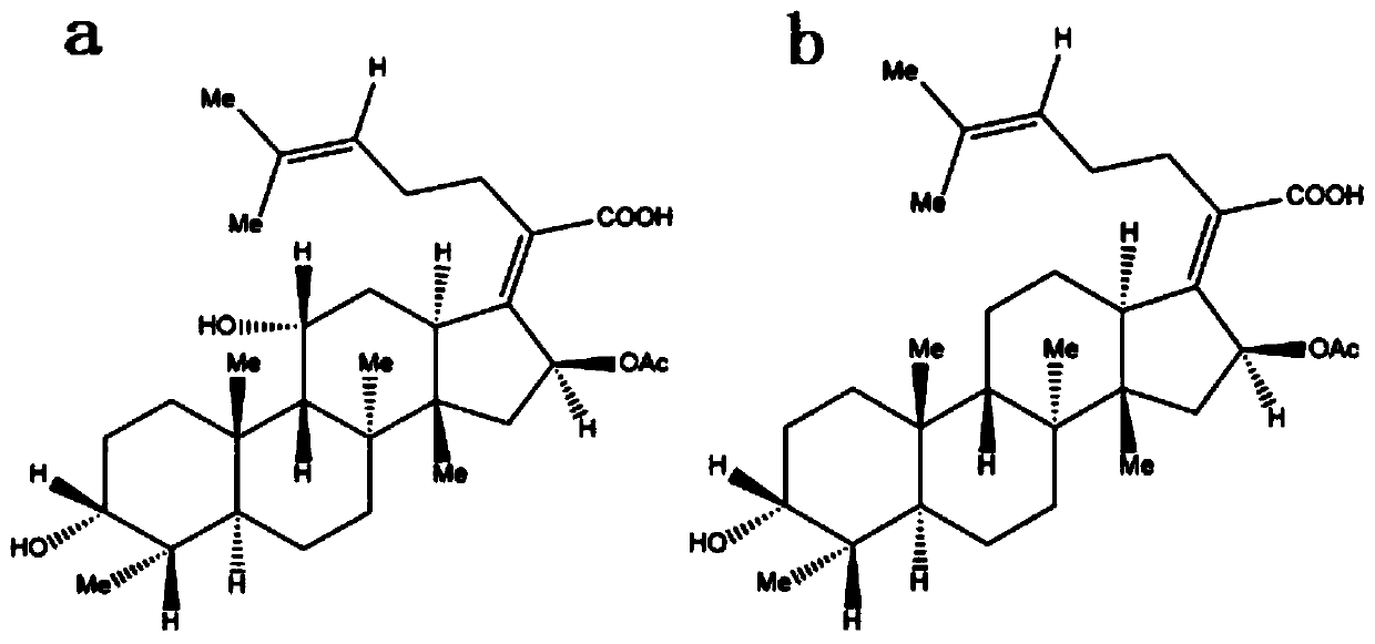 Method for reducing content of fusidic acid by-product by biotransformation method