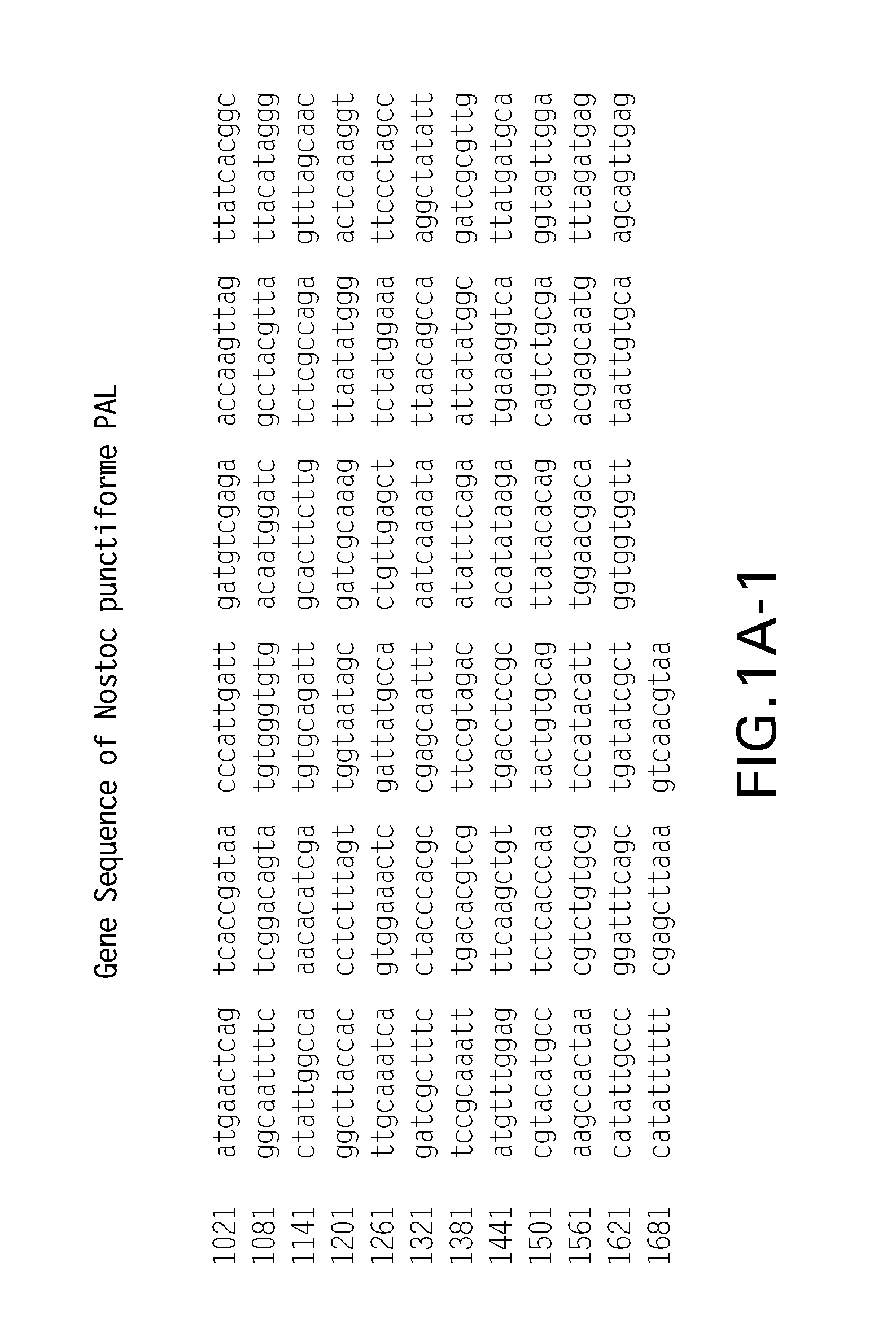 Compositions of prokaryotic phenylalanine ammonia-lyase variants and methods of using compositions thereof