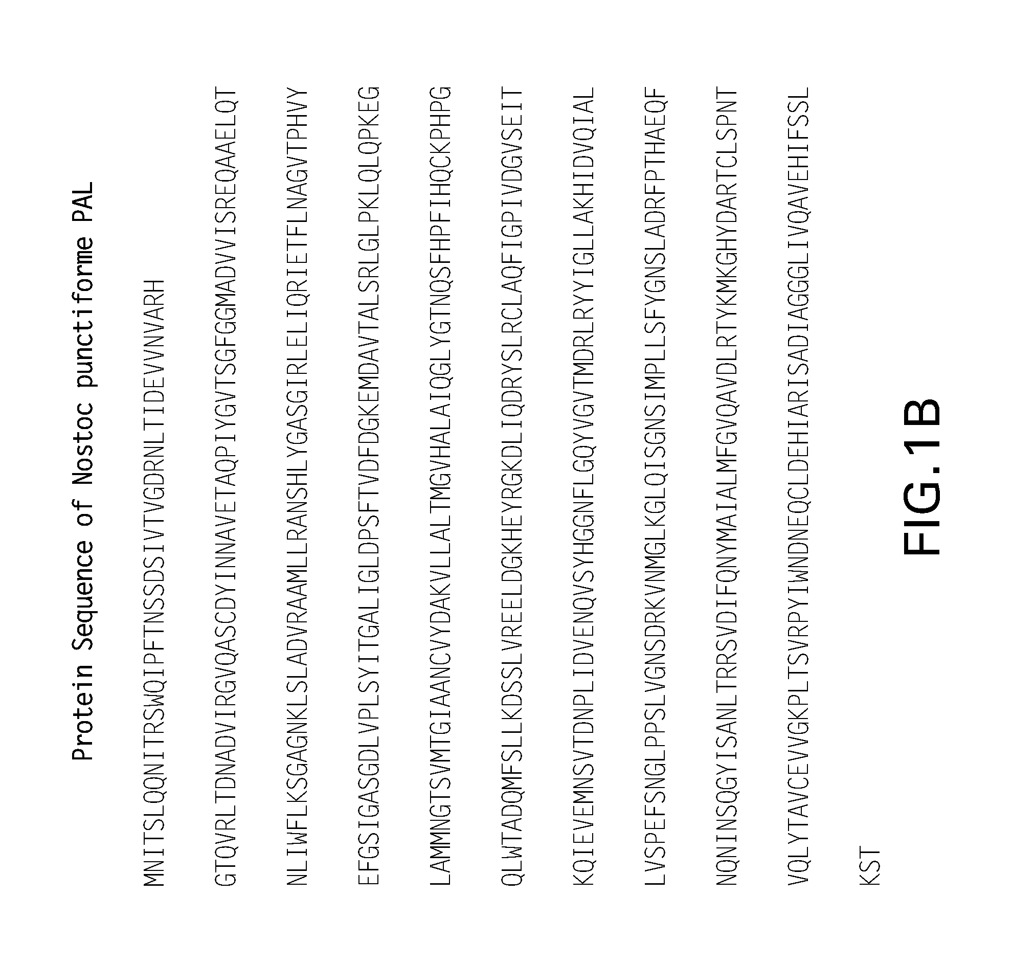 Compositions of prokaryotic phenylalanine ammonia-lyase variants and methods of using compositions thereof