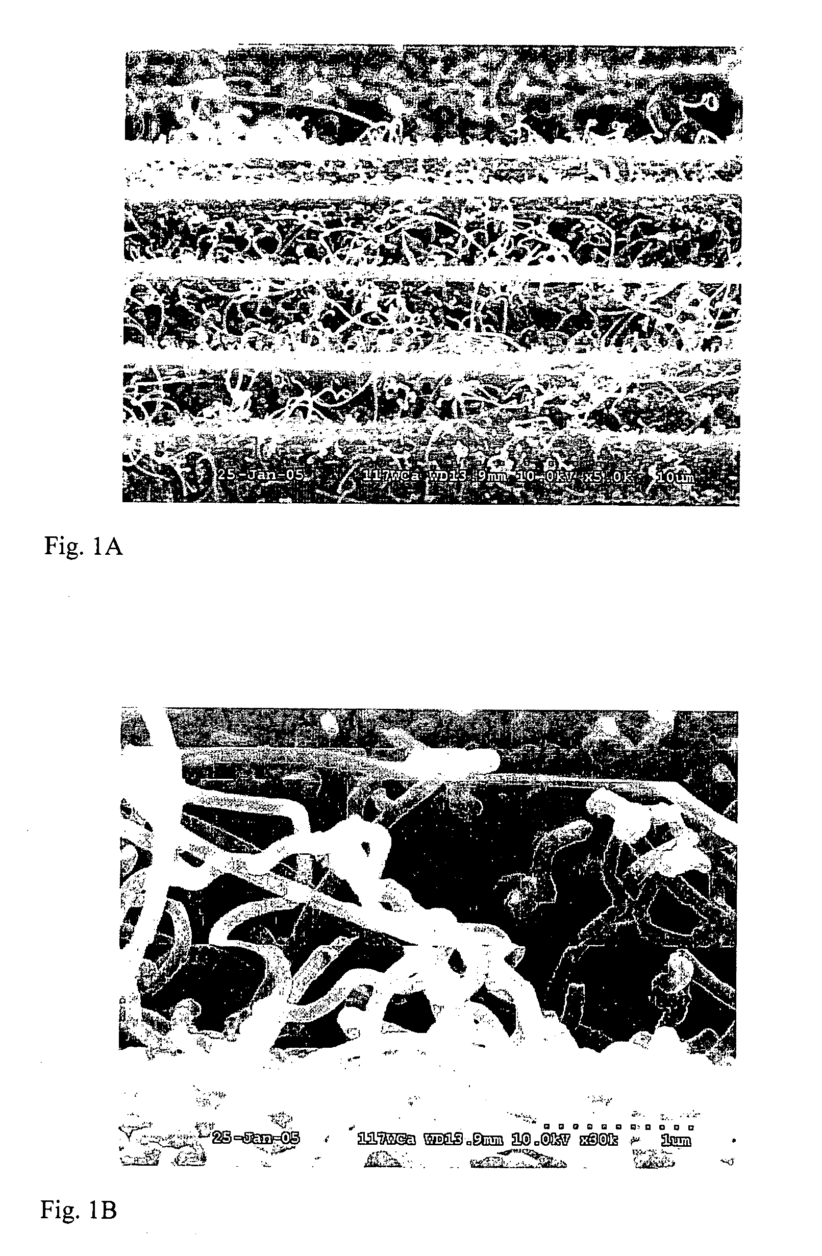Vapor grown carbon fiber reinforced composite materials and methods of making and using same