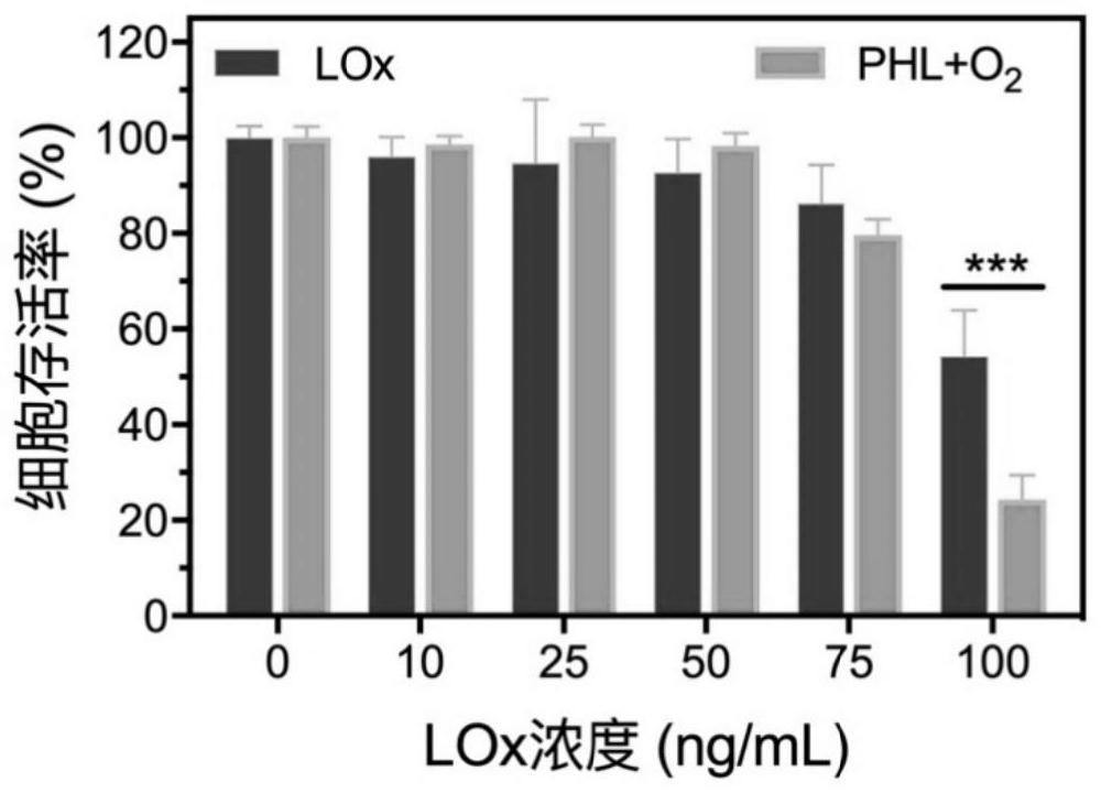 Fusion membrane-coated bionic nanoemulsion as well as preparation method and application thereof