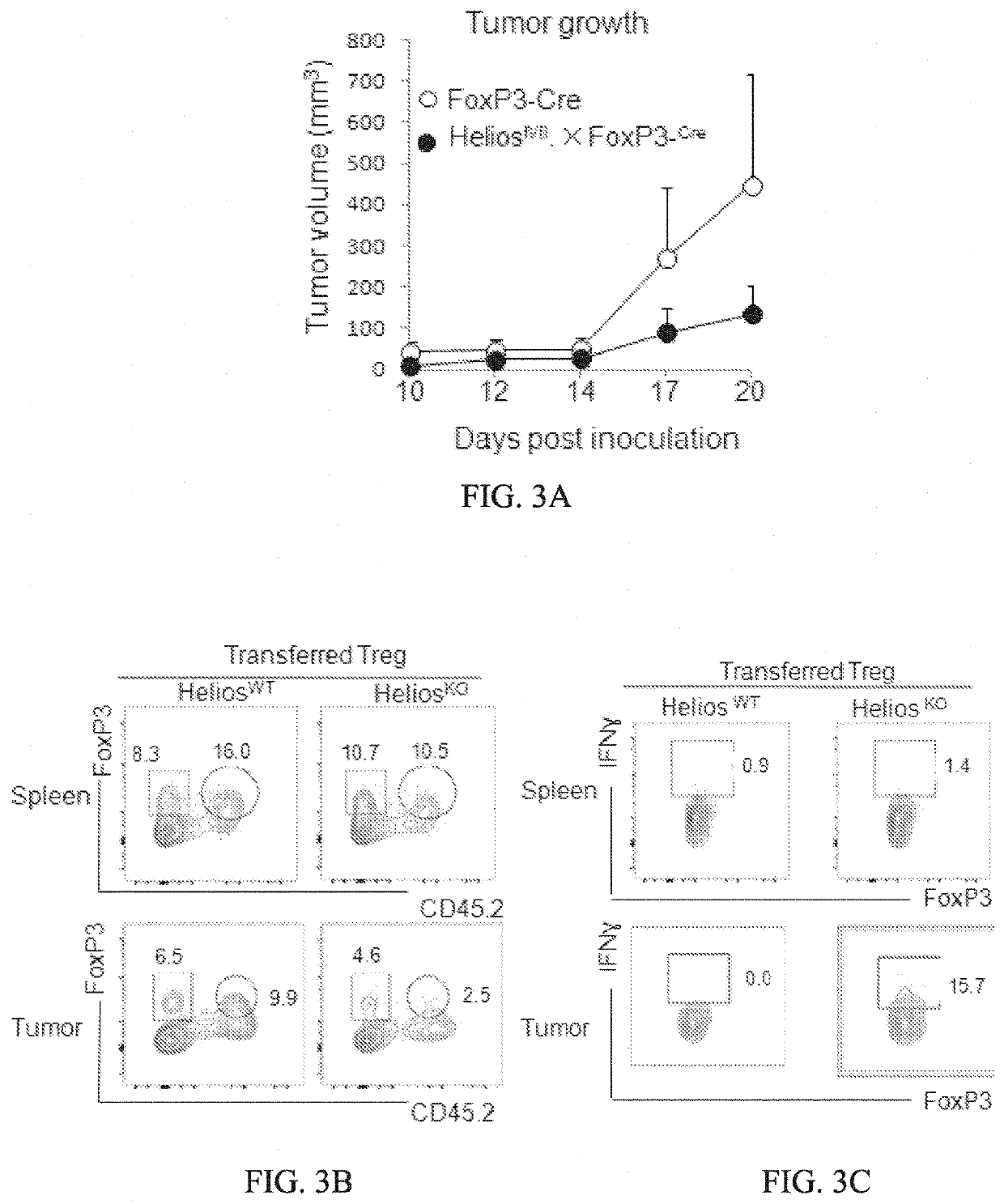 Il-23r antagonists to reprogram intratumoral t regulatory cells into effector cells