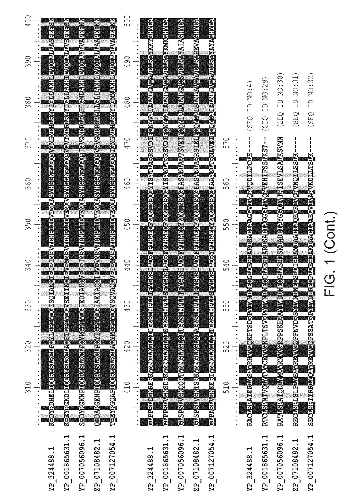 Engineered phenylalanine ammonia lyase polypeptides