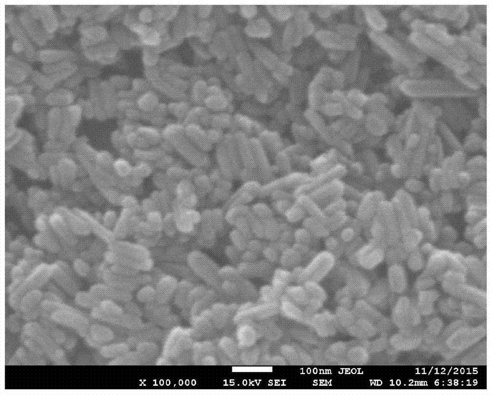 A kind of tissue engineered osteochondral composite scaffold and preparation method thereof