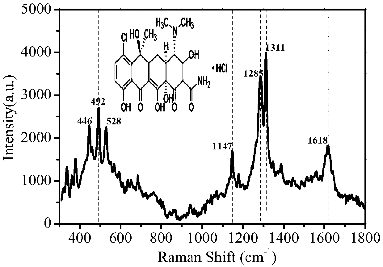 Surface Enhanced Raman Spectroscopy (SERS) detection method for chlortetracycline hydrochloride
