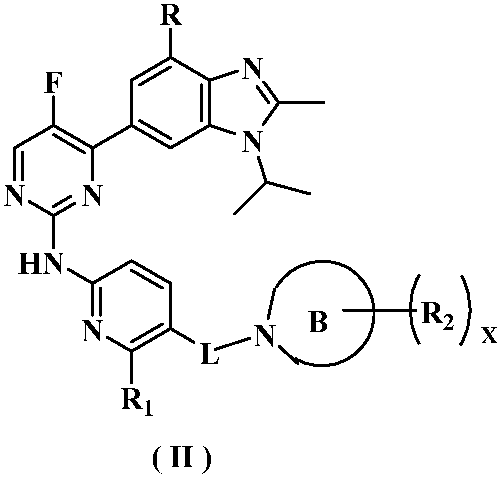 Kinase inhibitor of benzimidazole compound and its preparation method and application