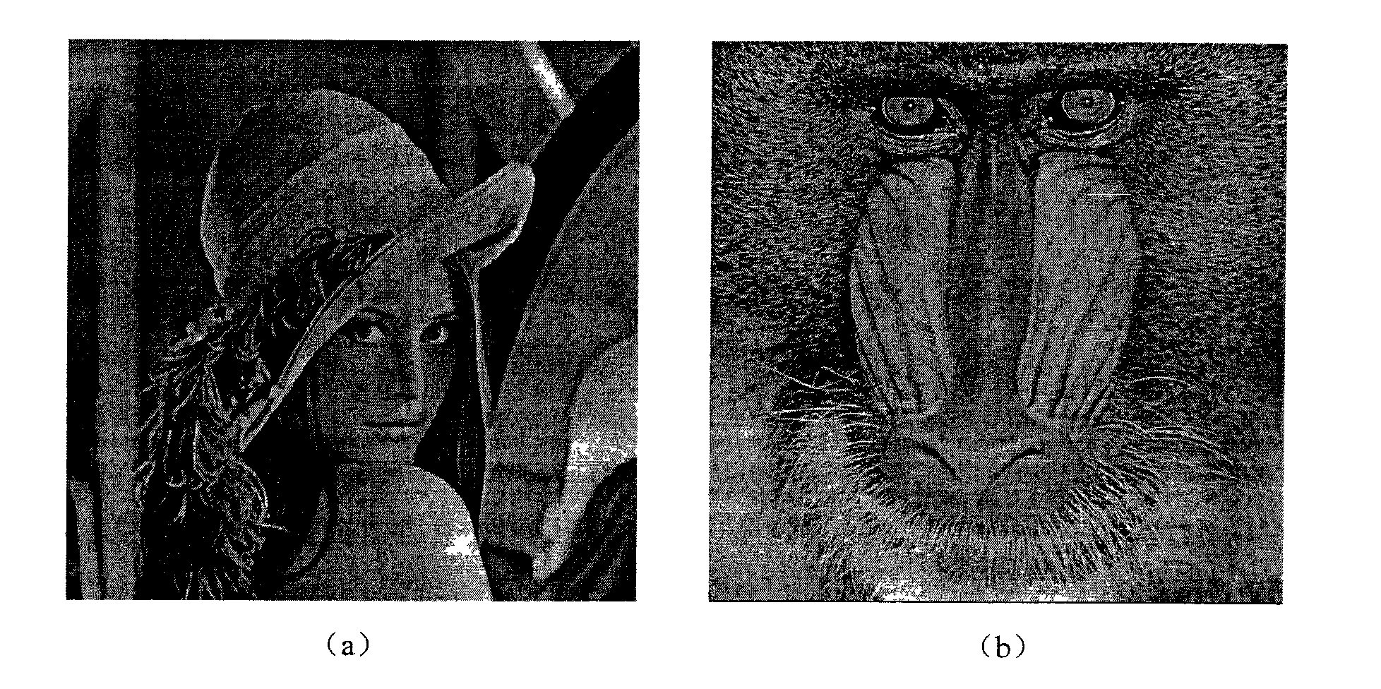 Low code rate image compression method based on down sampling and interpolation