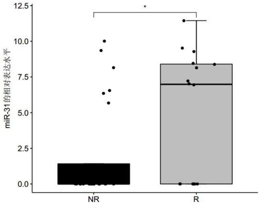 Method for predicting sensitivity of lung adenocarcinoma patient to platinum-containing double-drug chemotherapy based on miRNA