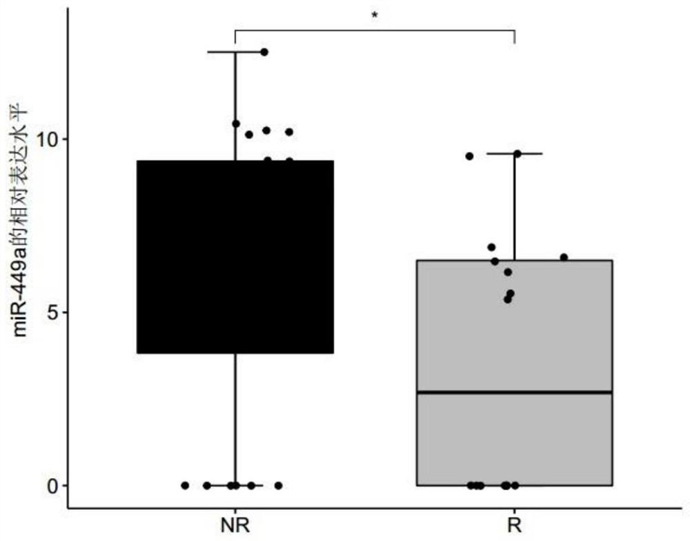 Method for predicting sensitivity of lung adenocarcinoma patient to platinum-containing double-drug chemotherapy based on miRNA