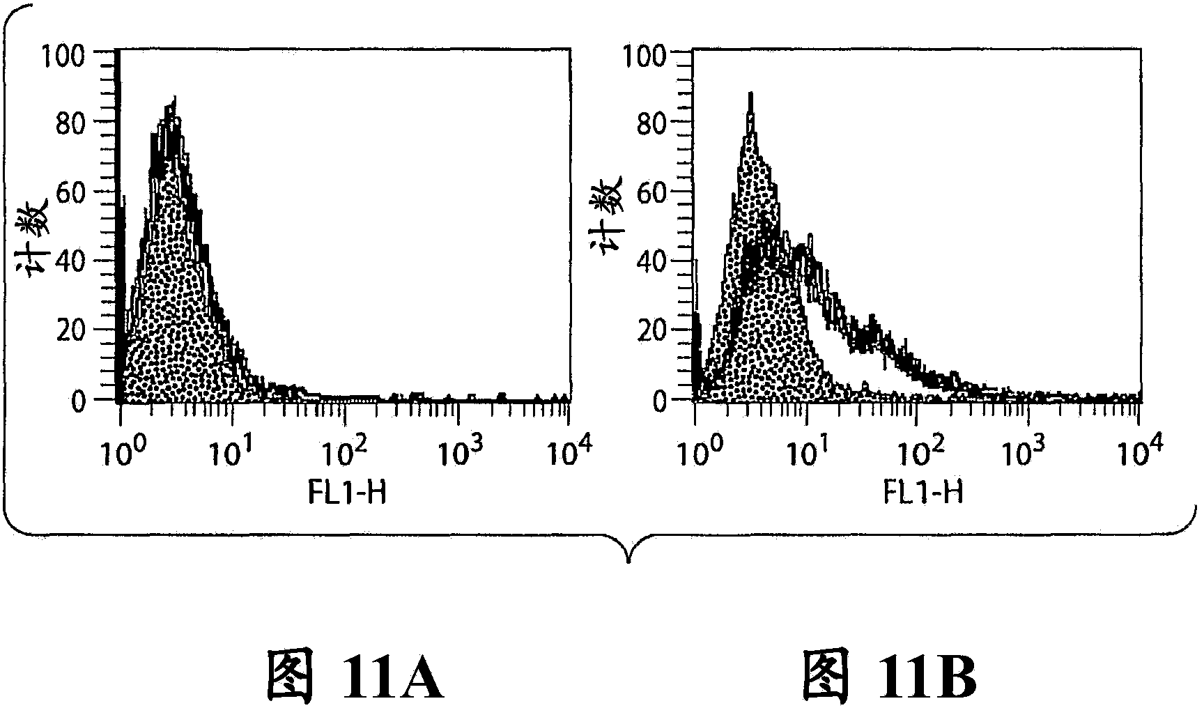 Antibodies with enhanced antibody-dependent cellular cytoxicity activity, methods of their production and use