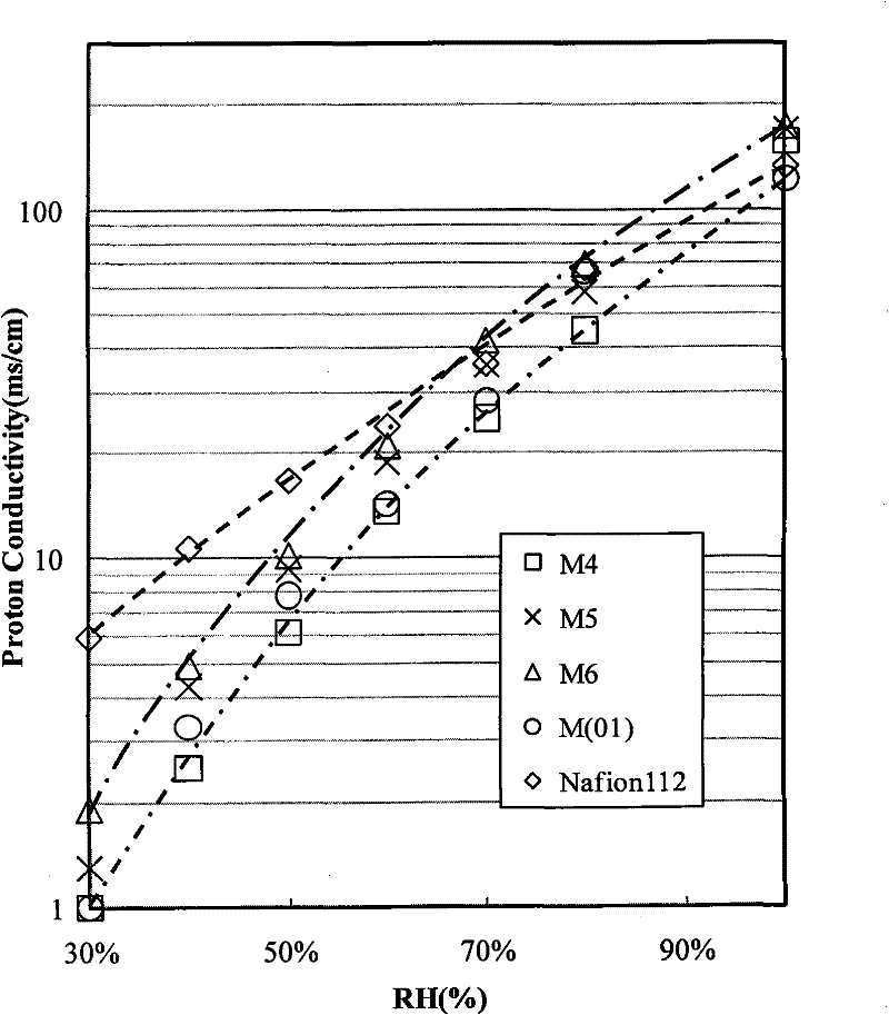 Process for preparing composite sulfonated membranes with IPN structures