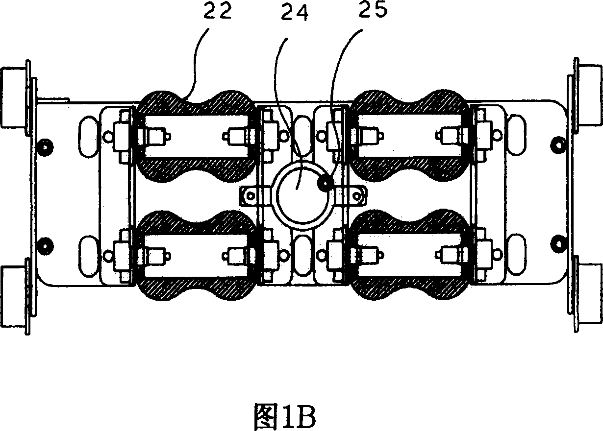 Warm therapeutic  device for bed type warm therapeutic apparatus