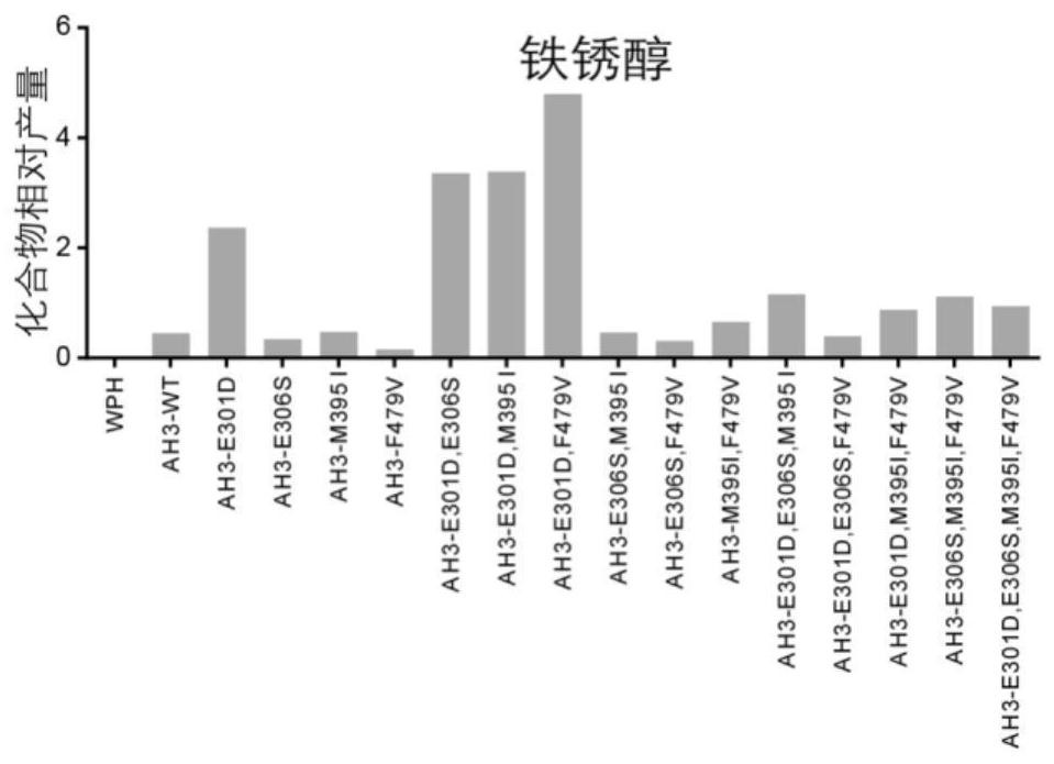 A Salvia miltiorrhiza p450 mutant used for preparing tanshinone compounds