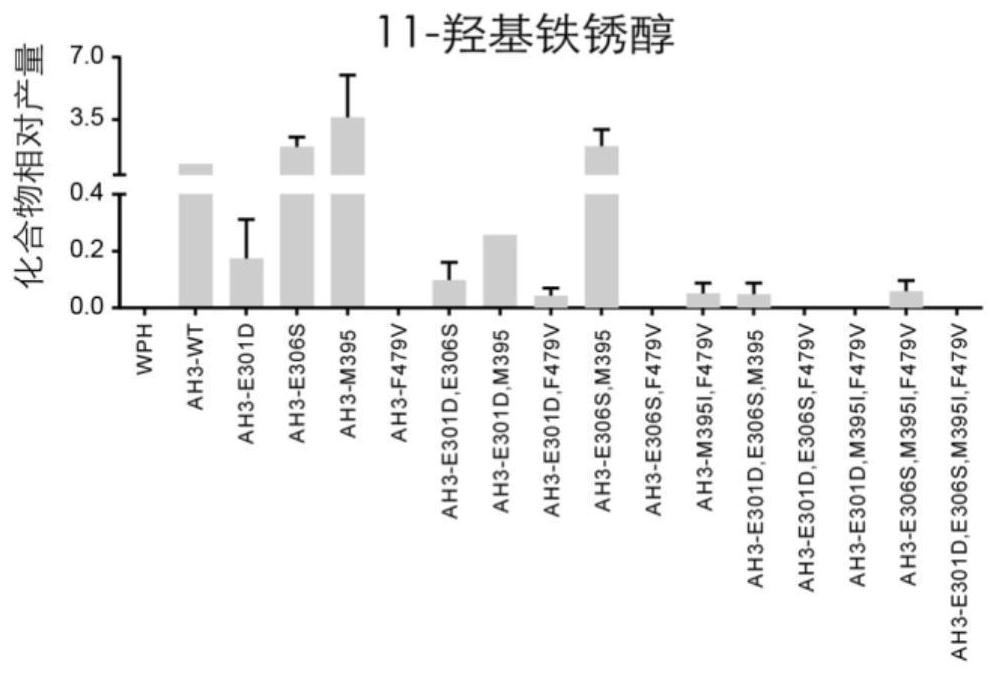 A Salvia miltiorrhiza p450 mutant used for preparing tanshinone compounds