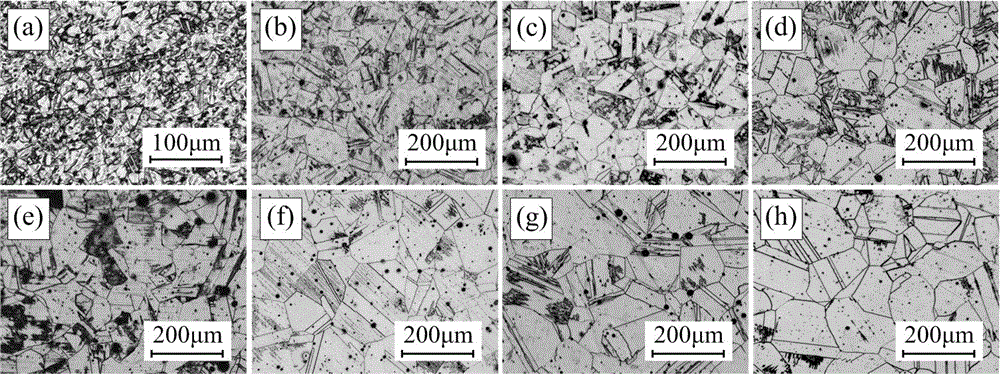Ultrasonic attenuation evaluation method for crystal grain size of metal without influence of curved-surface diffusion