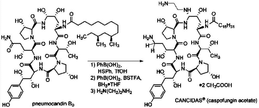 Preparation method of caspofungin