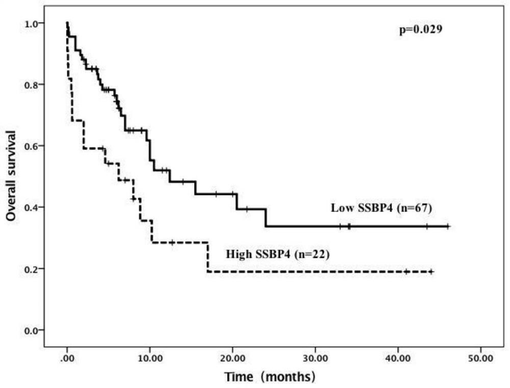 Marker for early diagnosis, risk stratification and prognosis risk stratification of acute myelogenous leukemia and application thereof