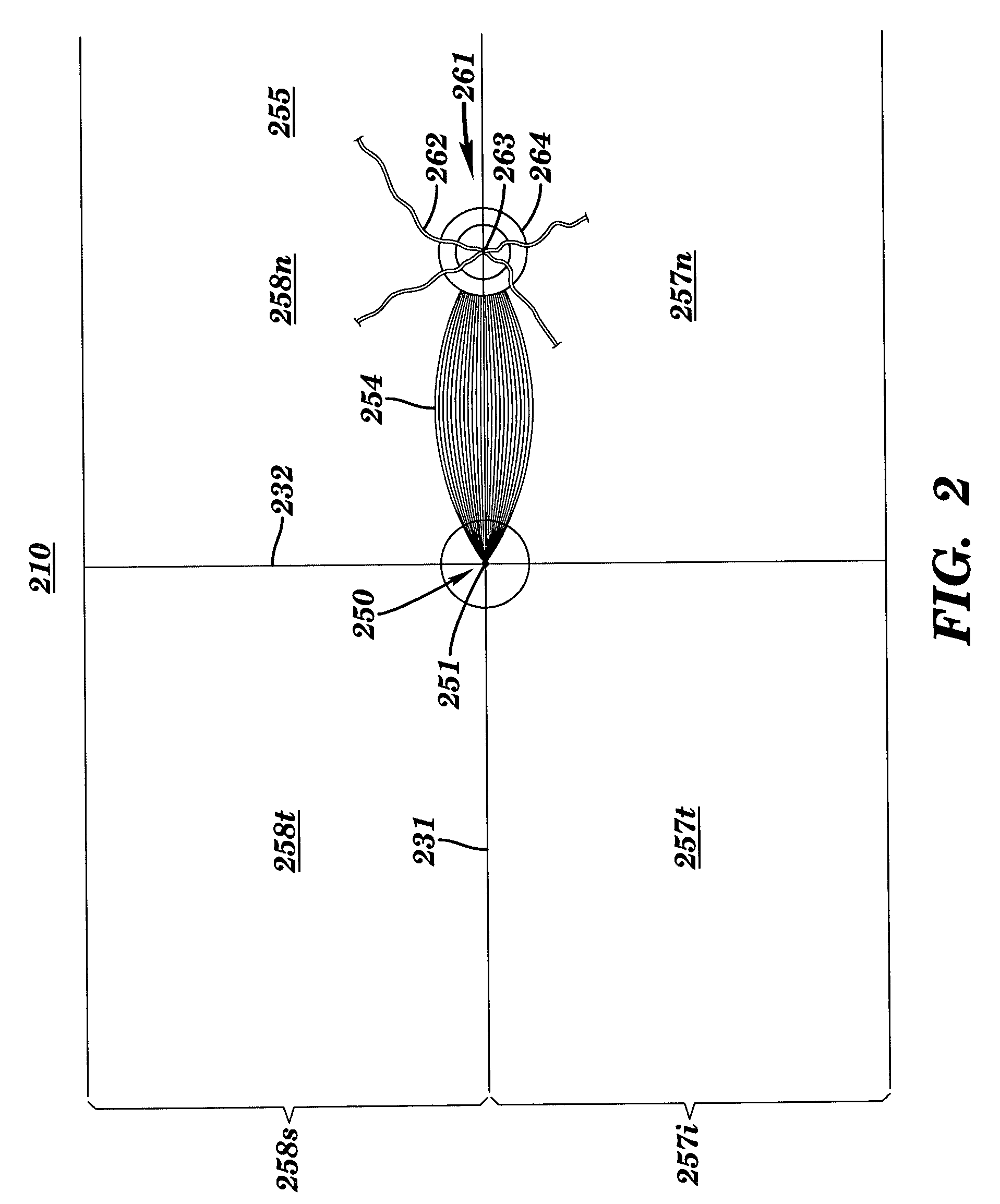 Apparatus and method for assessing retinal damage