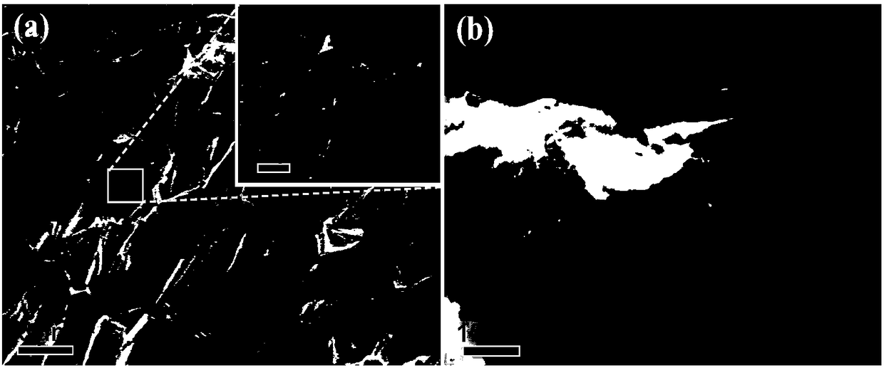 Method for preparing nitrogen self-doped porous graphene using porous soybean shell