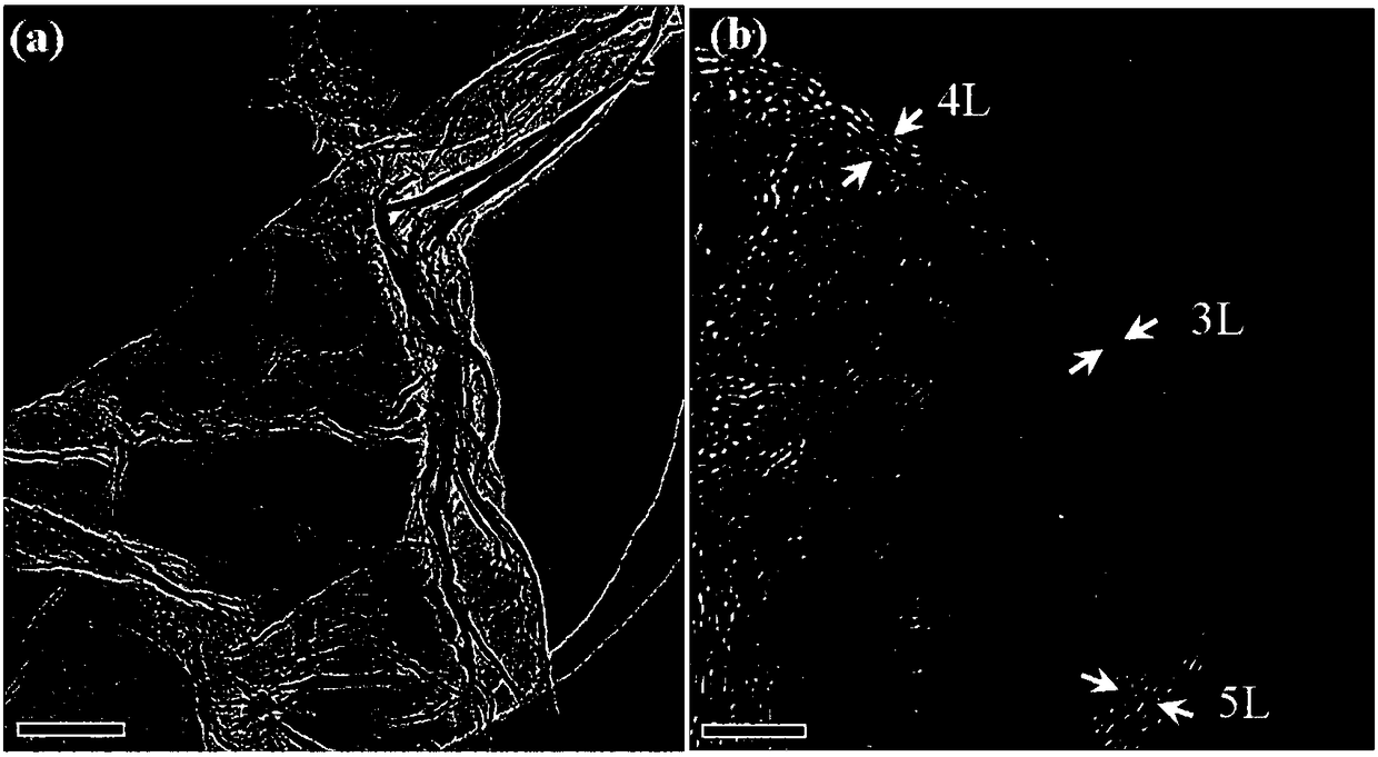 Method for preparing nitrogen self-doped porous graphene using porous soybean shell