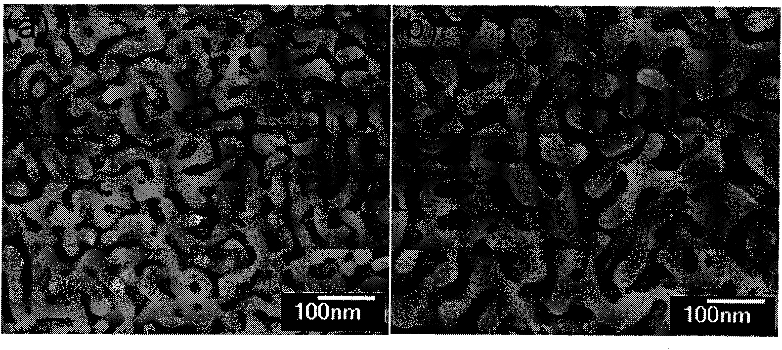 Electrochemical detection method and detector of nitro phenolic pollutants