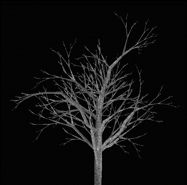 Three dimensional tree fine modeling method based on integrated drive of data and rules