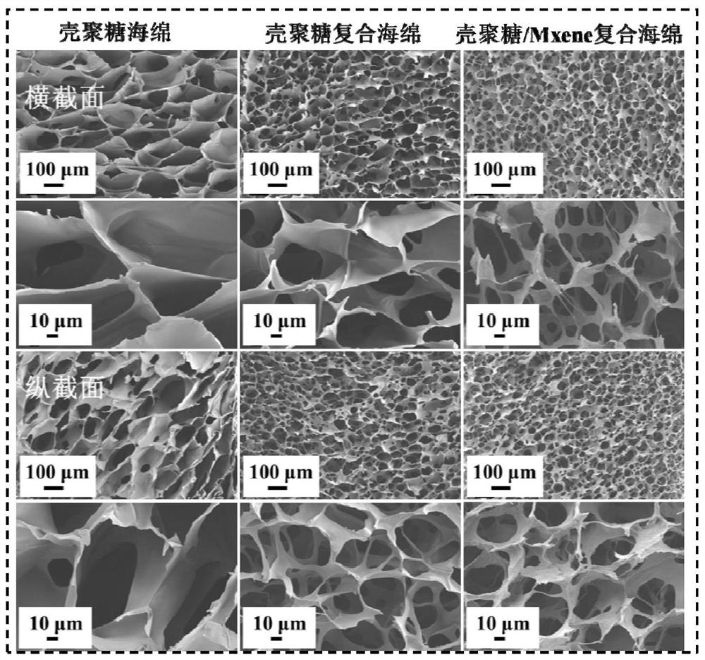 Chitosan/Mxene antibacterial composite sponge for hemostasis and preparation method thereof