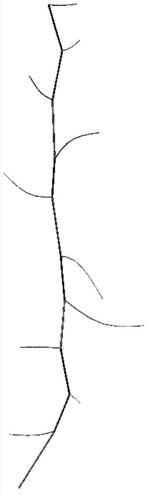 Method for three-dimensional reconstruction of plant population morphological structure