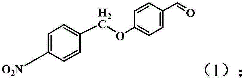 Method for treatment of titanium dioxide nanotubes with curcumin derivative