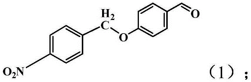 Method for treatment of titanium dioxide nanotubes with curcumin derivative