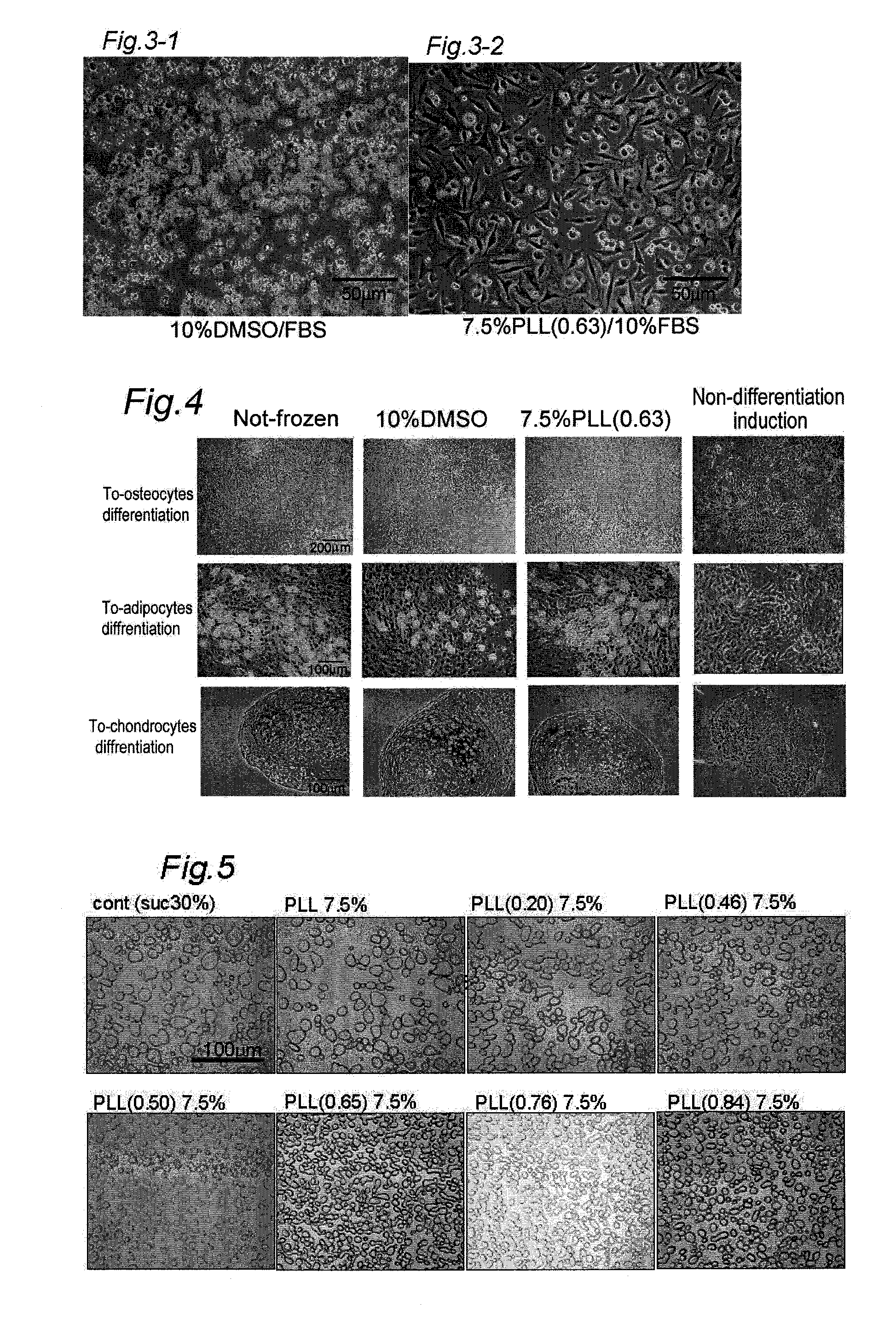 Composition for cryopreservation of cells and tissues