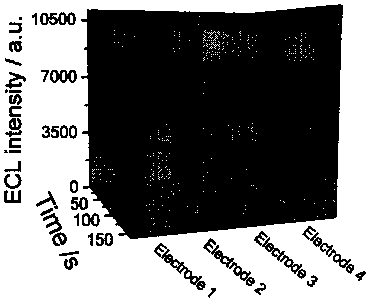 Electrochemical synthesis-based acetyl transferase electrochemical light-emitting sensor built by Ru-MOF and application of acetyl transferase electrochemical light-emitting sensor