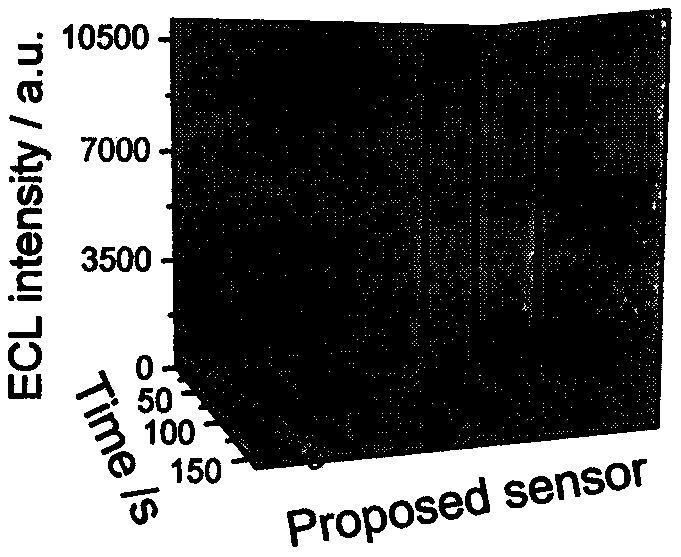 Electrochemical synthesis-based acetyl transferase electrochemical light-emitting sensor built by Ru-MOF and application of acetyl transferase electrochemical light-emitting sensor