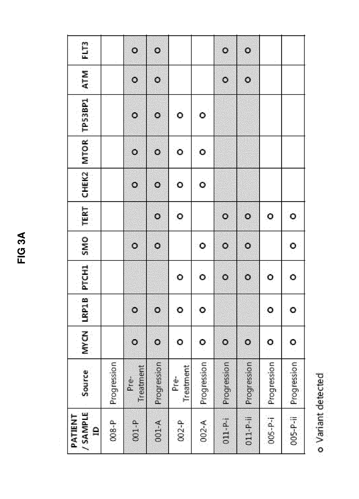 Mutant smoothened and methods of using the same