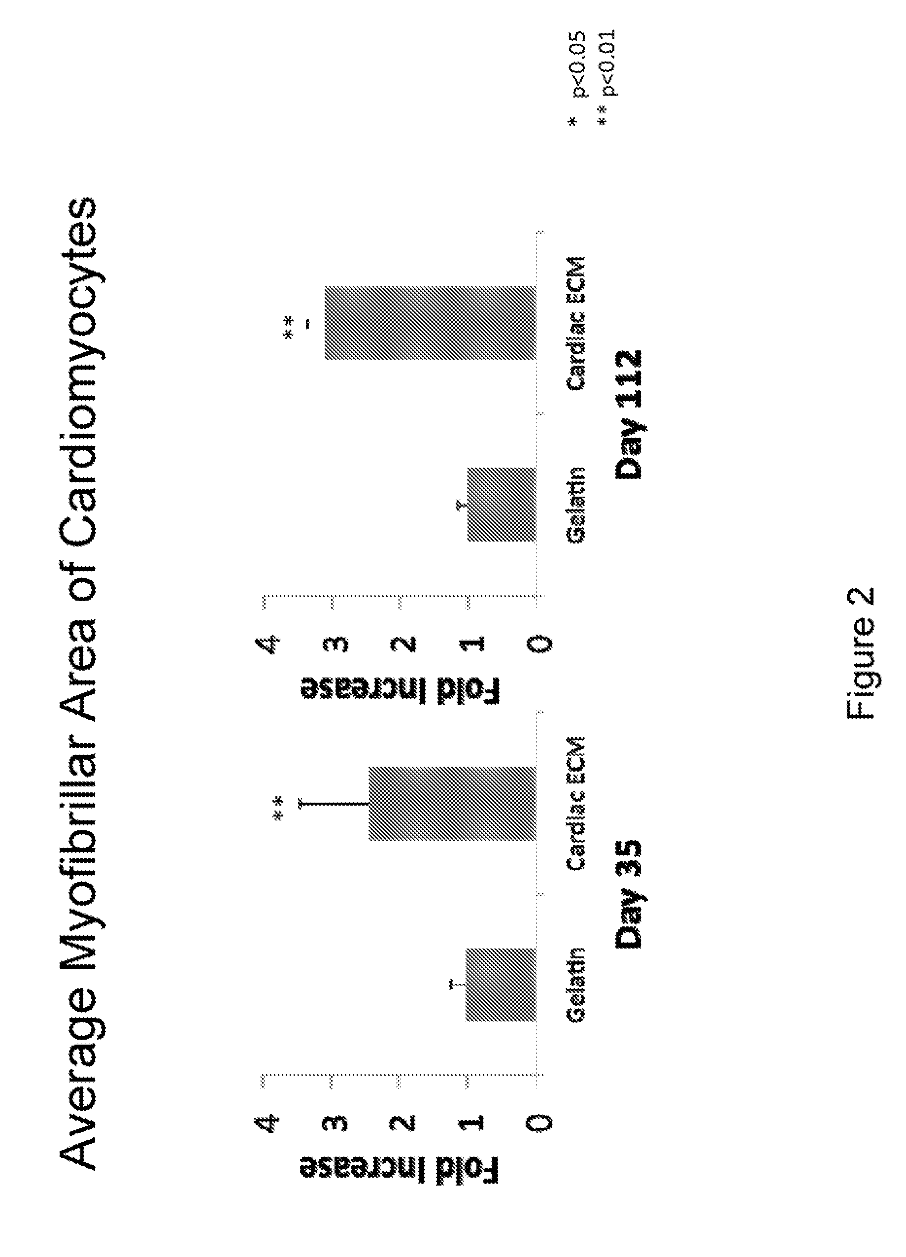 Compositions and Methods for Tissue Repair with Extracellular Matrices