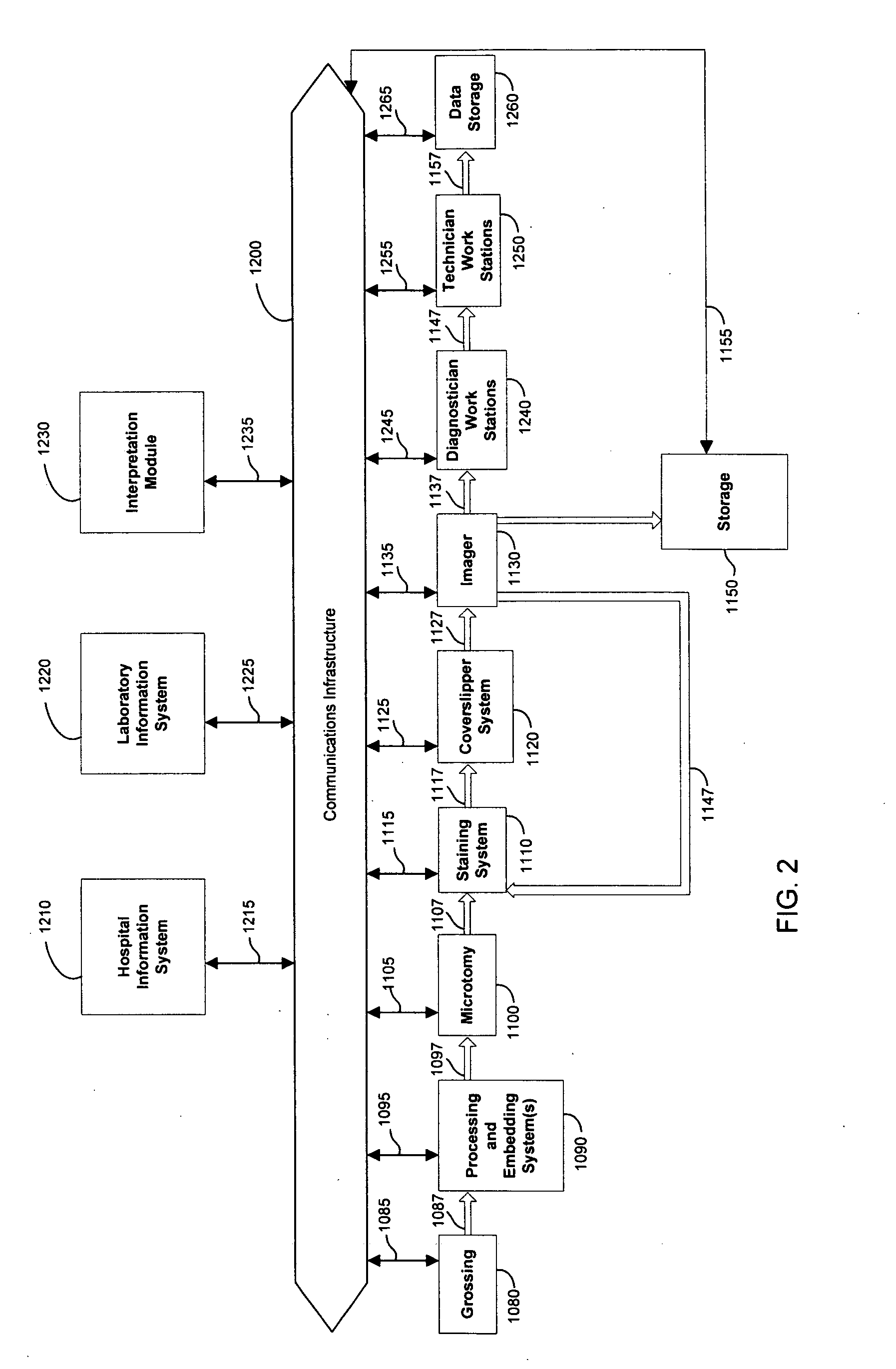 Automated system of processing biological specimens and method