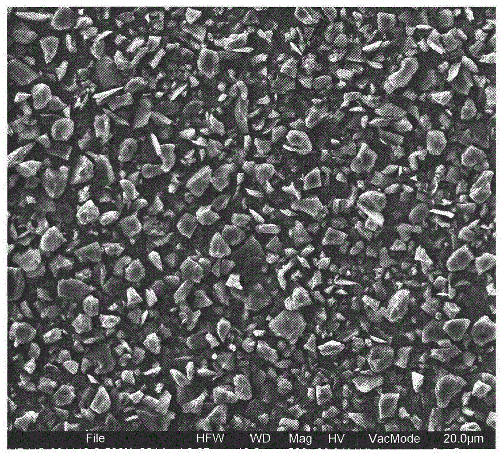 Hard carbon negative electrode material for lithium ion secondary battery and preparation method thereof